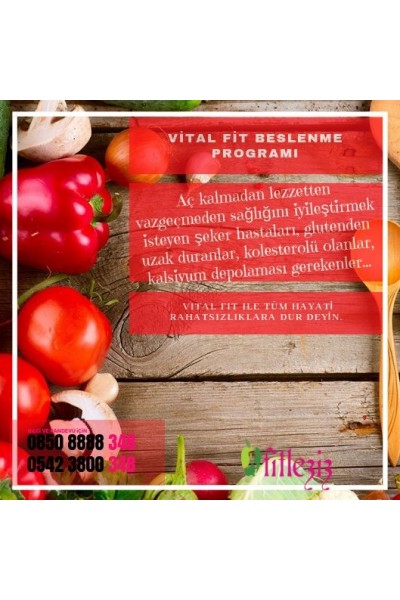 VitalFit Beslenme Programı